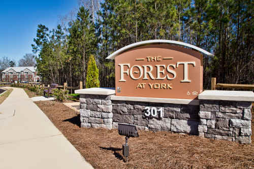THE FOREST AT YORK