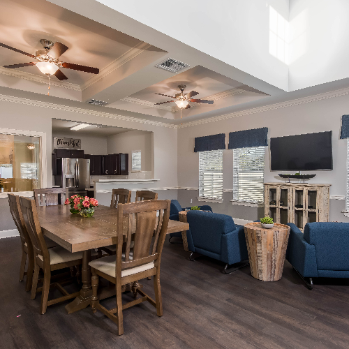 THE VILLAGE OF BEN HILL