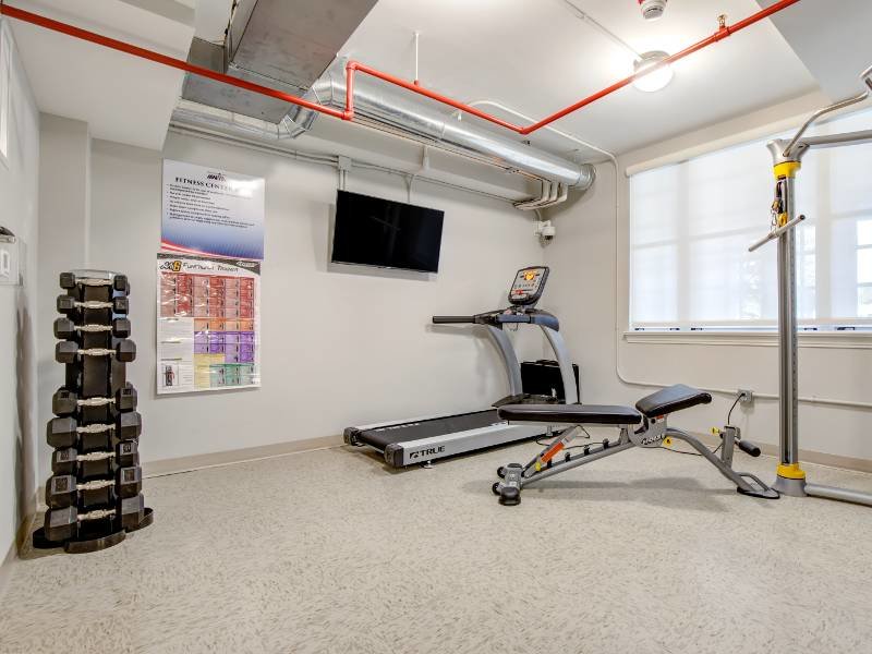 FREEDOM'S PATH AUGUSTA