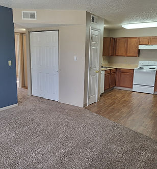 CHESAPEAKE APARTMENTS