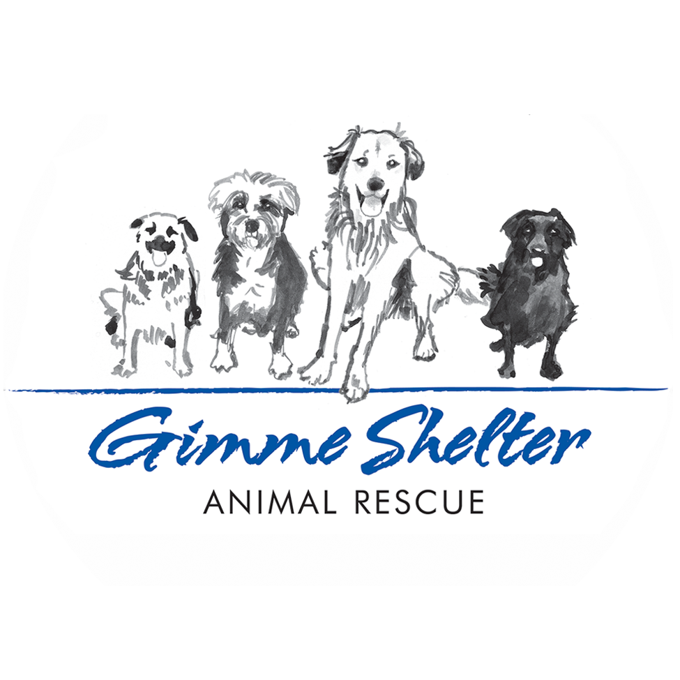 Gimme Shelter Animal Rescue